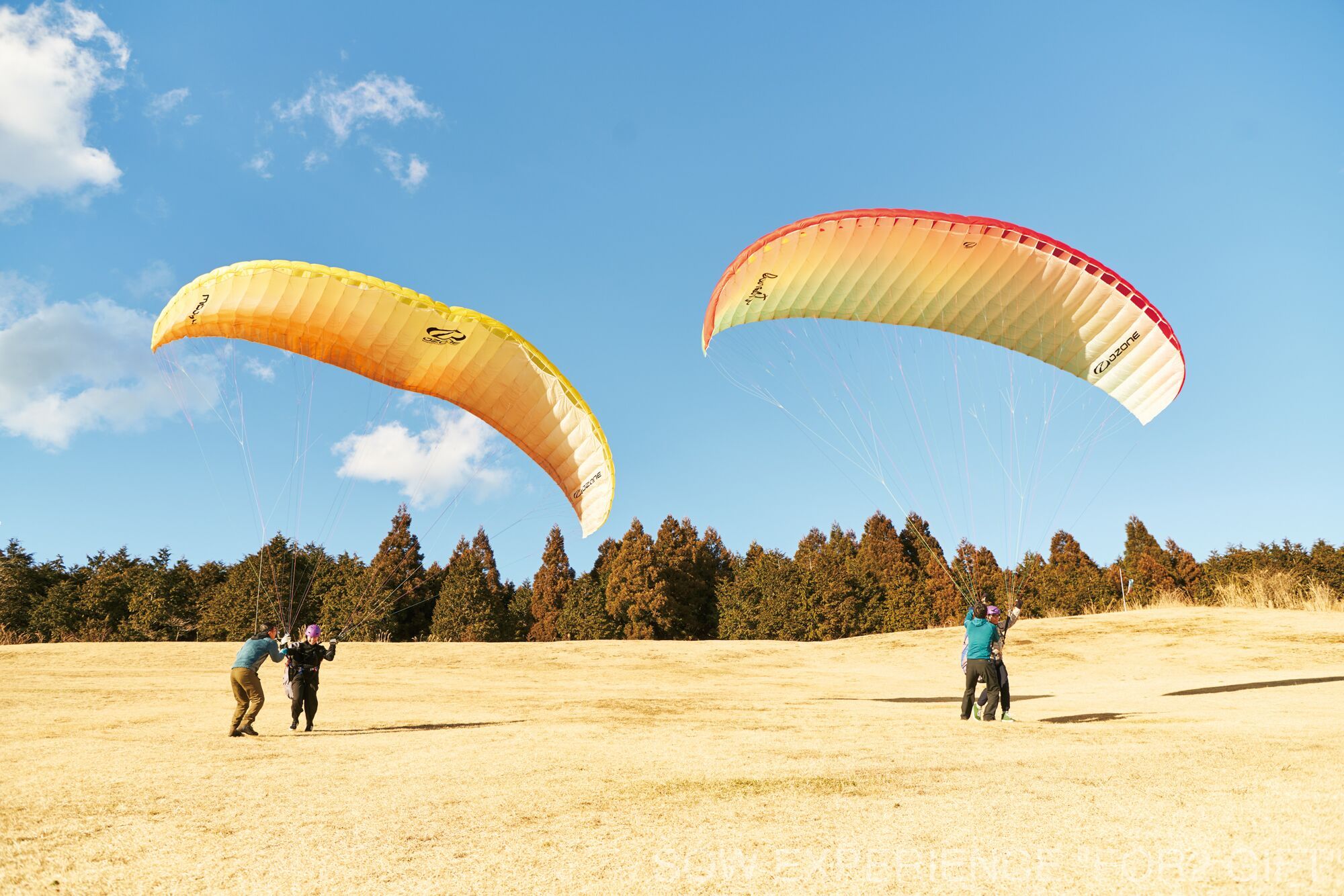 選べるスパークリングワイン&体験ギフトセット