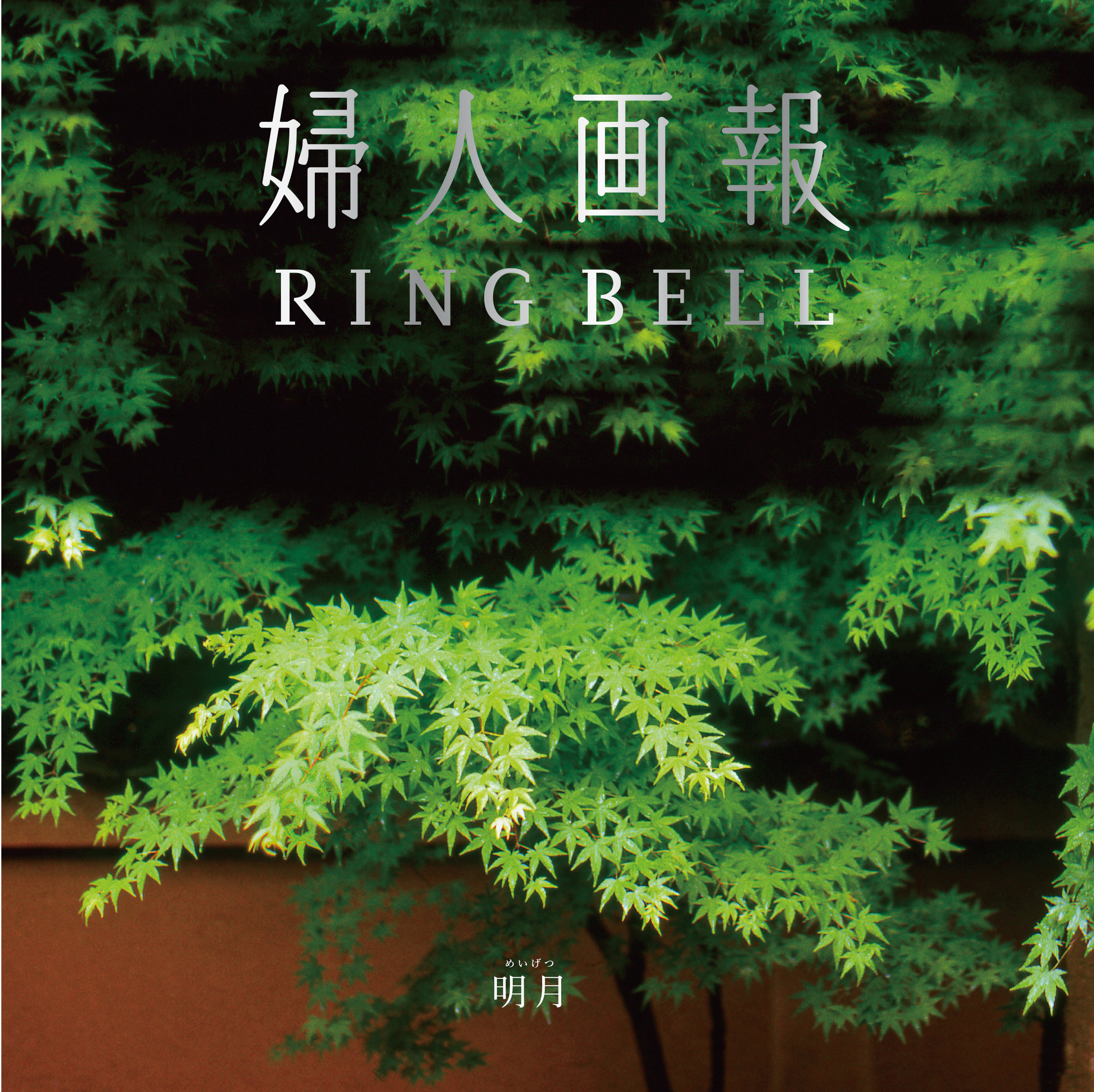 婦人画報（日本の風景）　明月