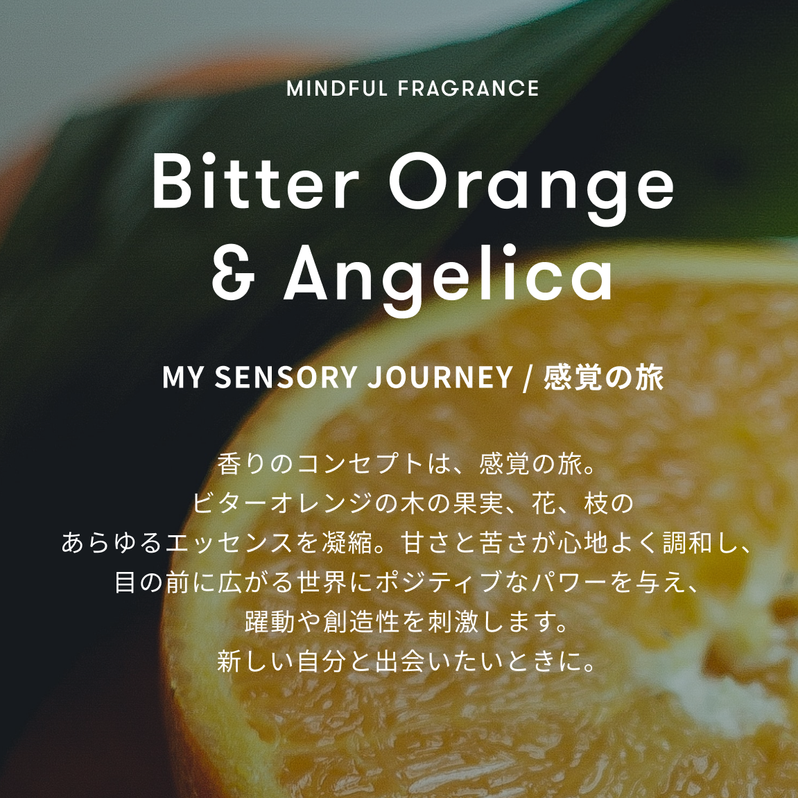 【名入れ刺繍・彼女へ1年目のおすすめ誕プレ】おうち好きの彼女へのギフト