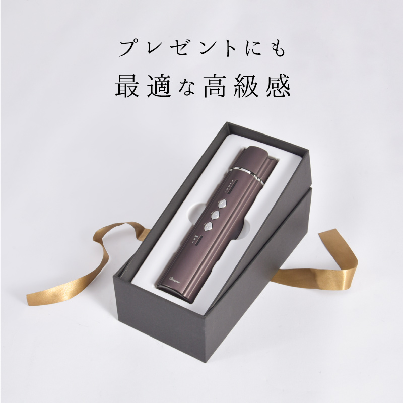 beapro22 コンパクト美顔器 スティックモイスチャー