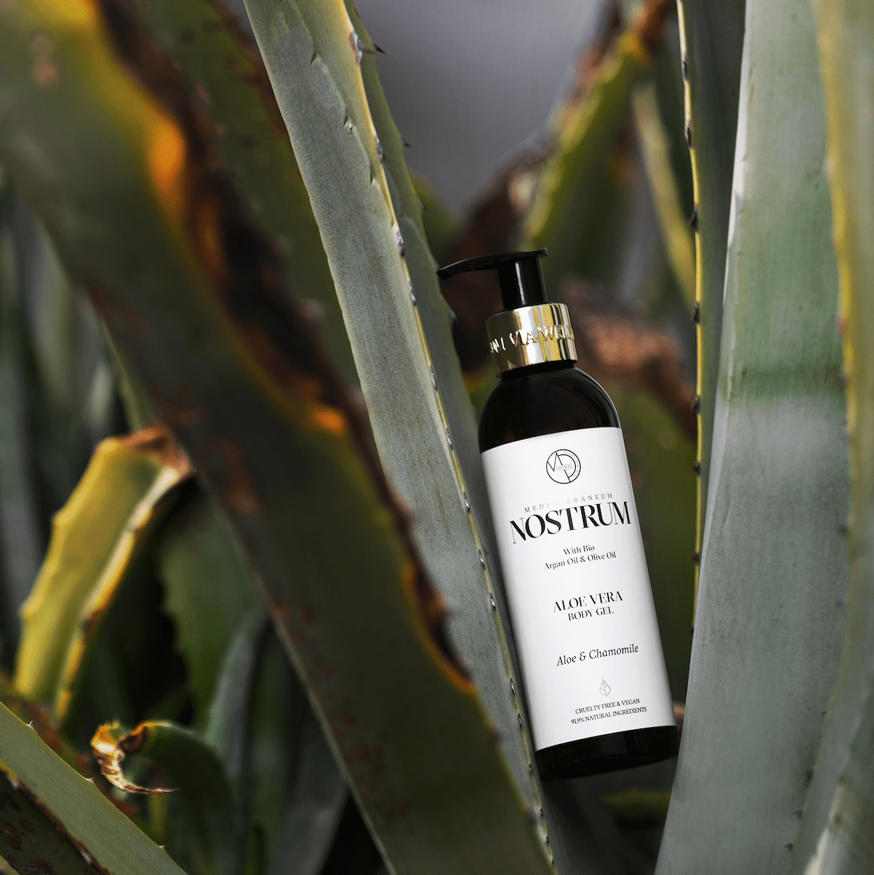 ボディジェル アロエ＆カモミール