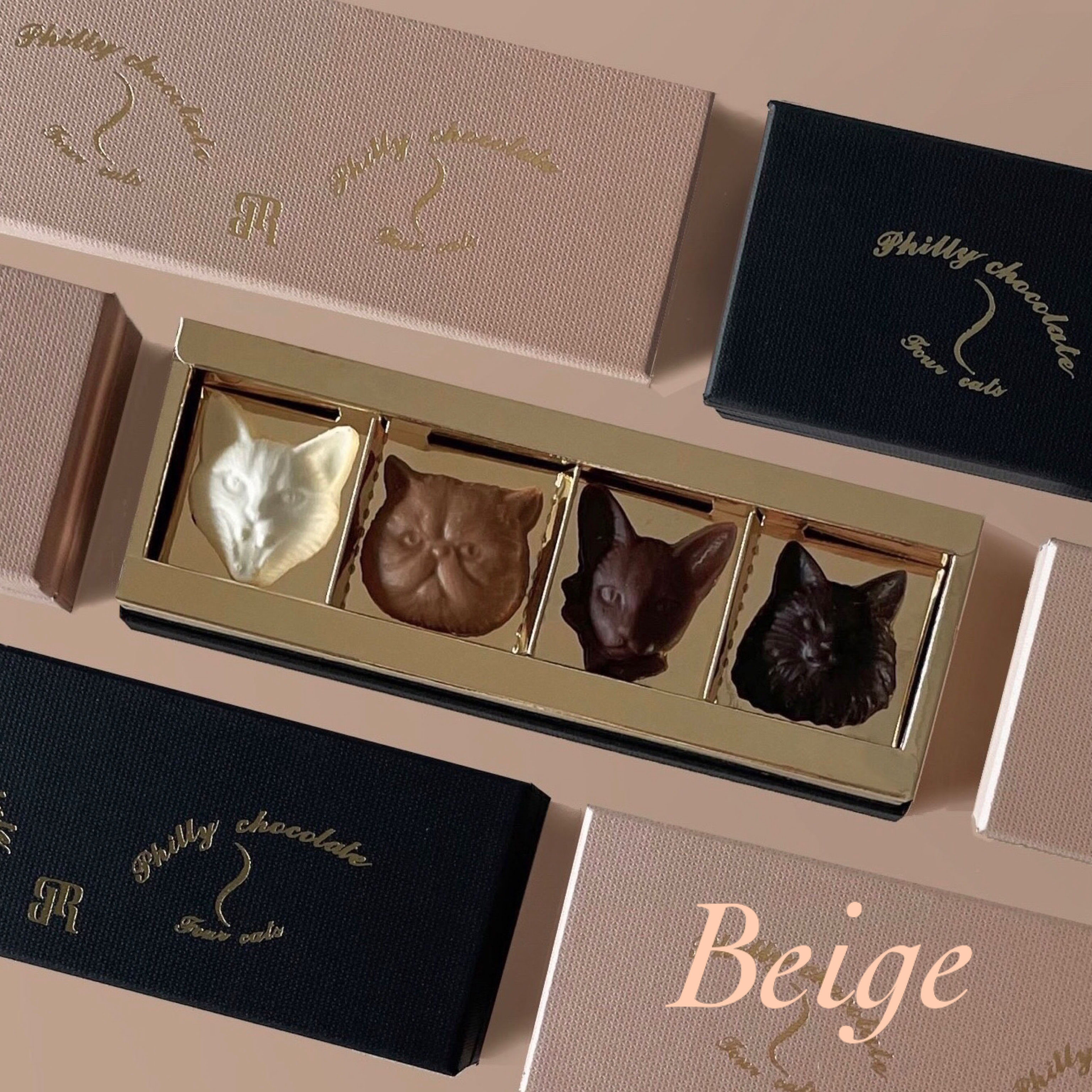 Cat bon bon chocolat