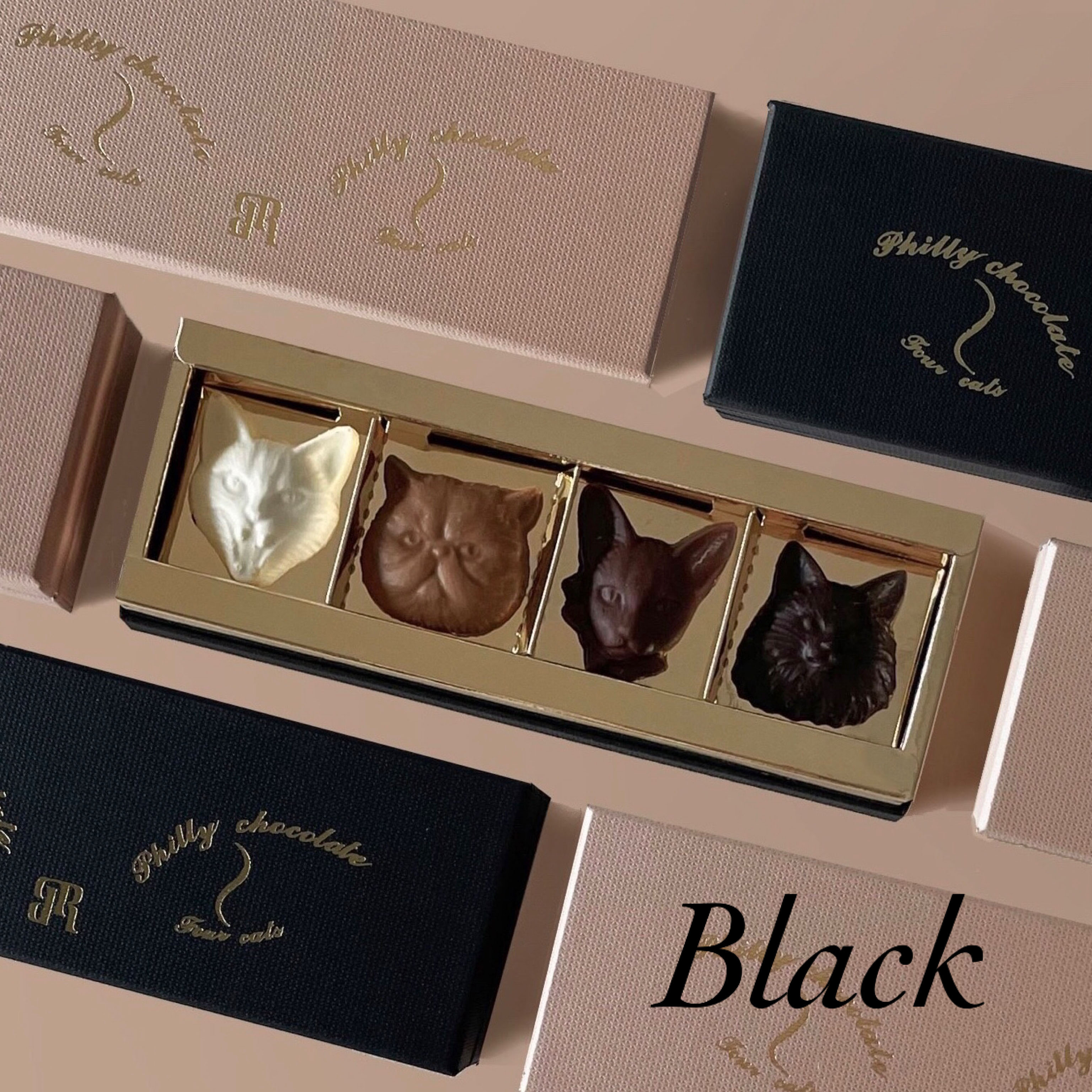 Cat bon bon chocolat
