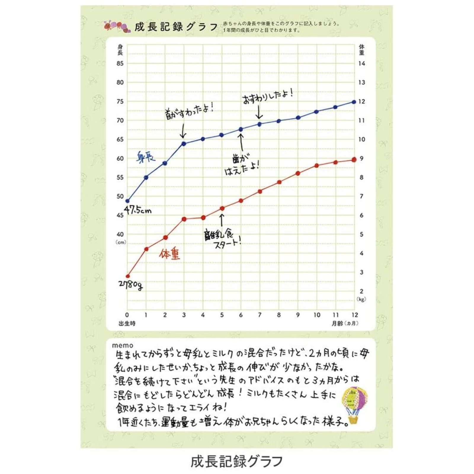【全3色】育児（ベビー）ダイアリー マークス ポニー 日付フリー＜A5＞