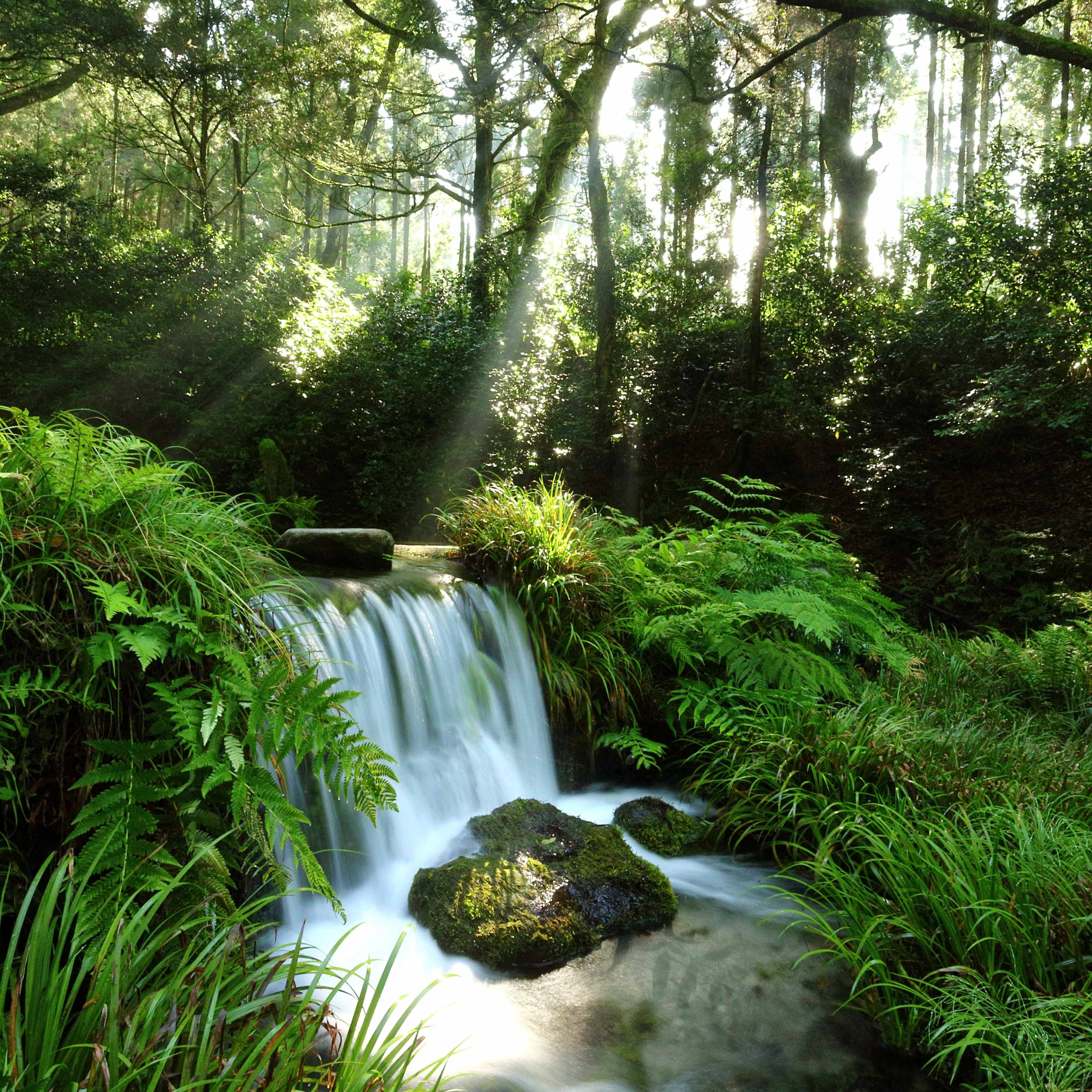 9KOS リードディフューザー