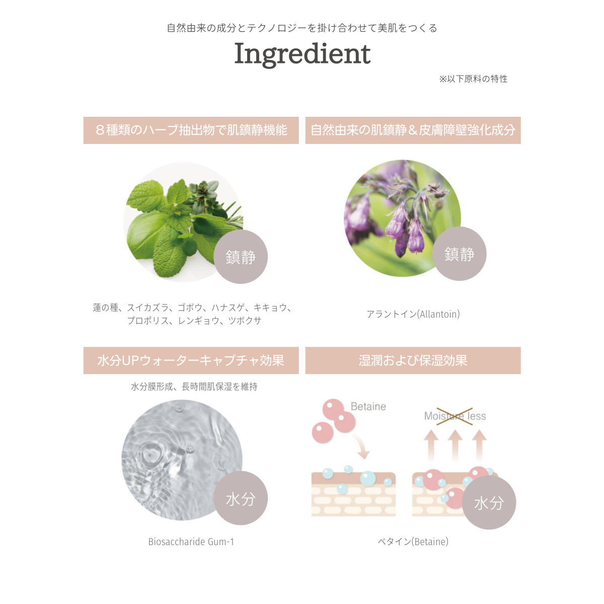 パーフェクトフィッティングフルカバレッジクッション + グリーンフルマイルドサンクリーム セット