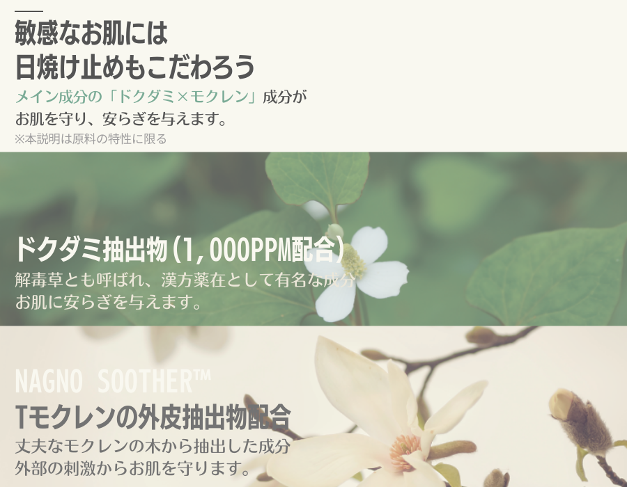 パーフェクトフィッティングフルカバレッジクッション + グリーンフルマイルドサンクリーム セット