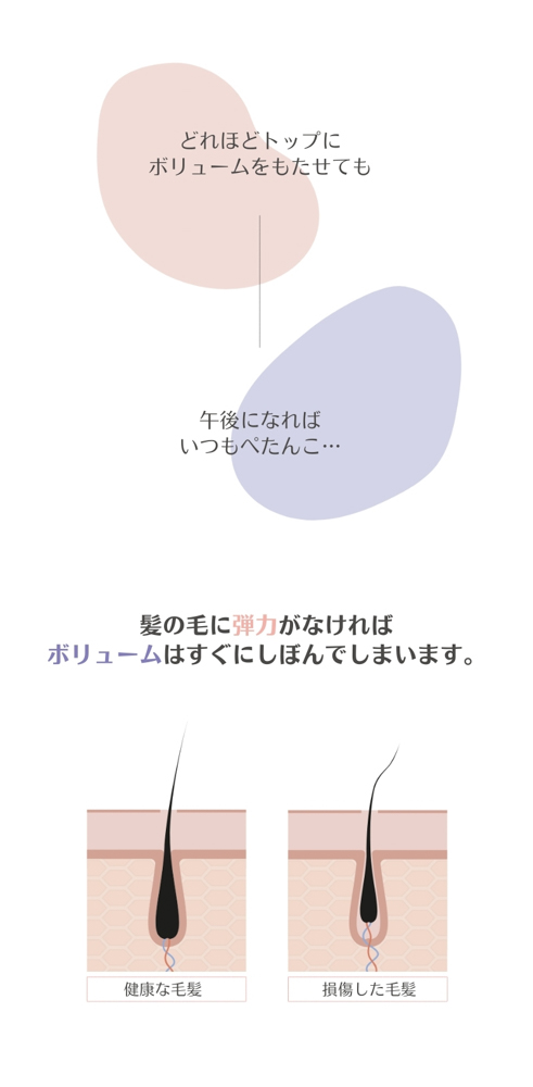 PINK VOLUMIZING SHAMPOO　+　SILK SHINE TREATMENT　セット