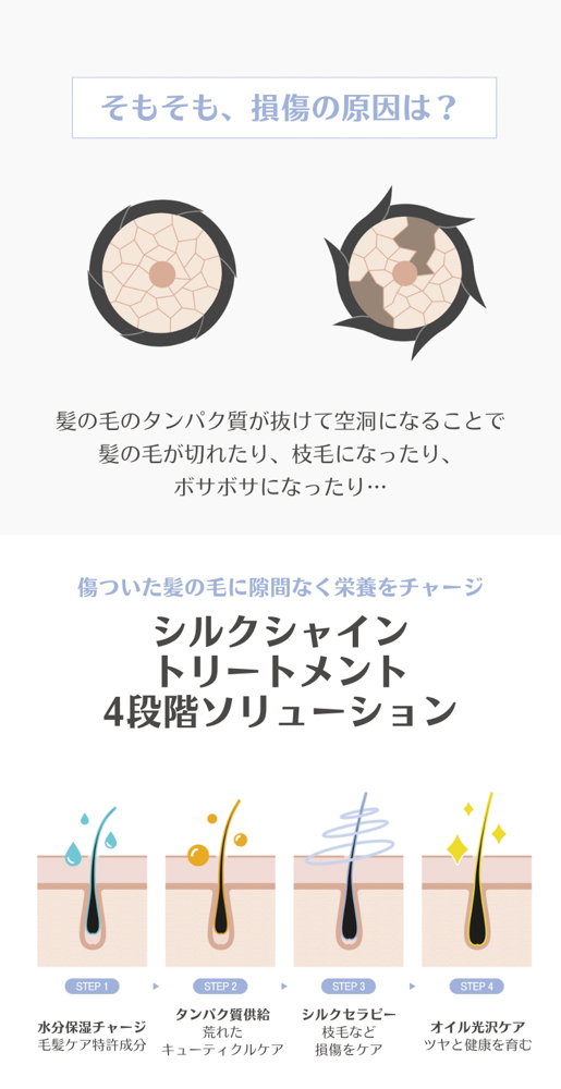 PINK VOLUMIZING SHAMPOO　+　SILK SHINE TREATMENT　セット