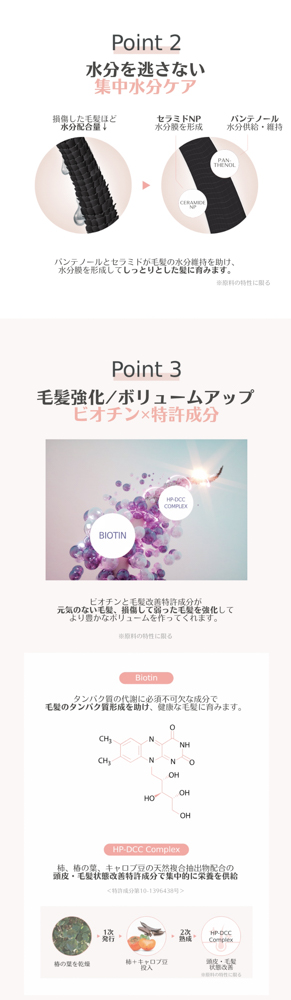 PINK VOLUMIZING SHAMPOO　+　SILK SHINE TREATMENT　セット