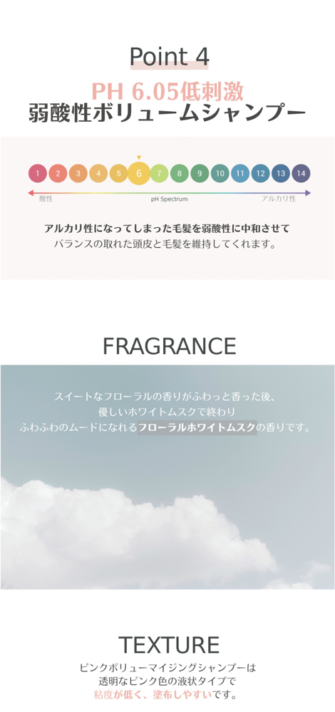 PINK VOLUMIZING SHAMPOO　+　SILK SHINE TREATMENT　セット