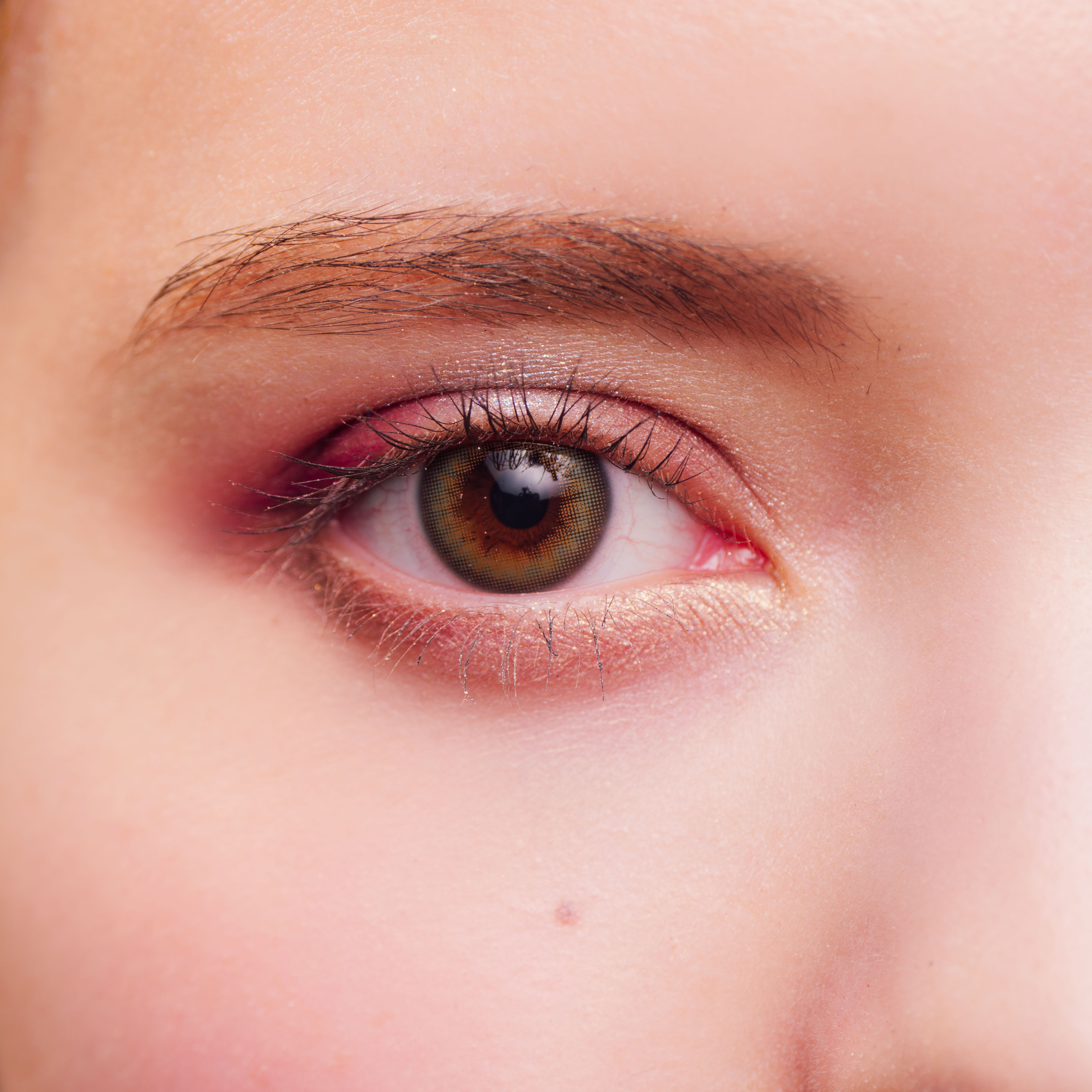 絵画アイシャドウパレット　ゴッホコンプリートボックス