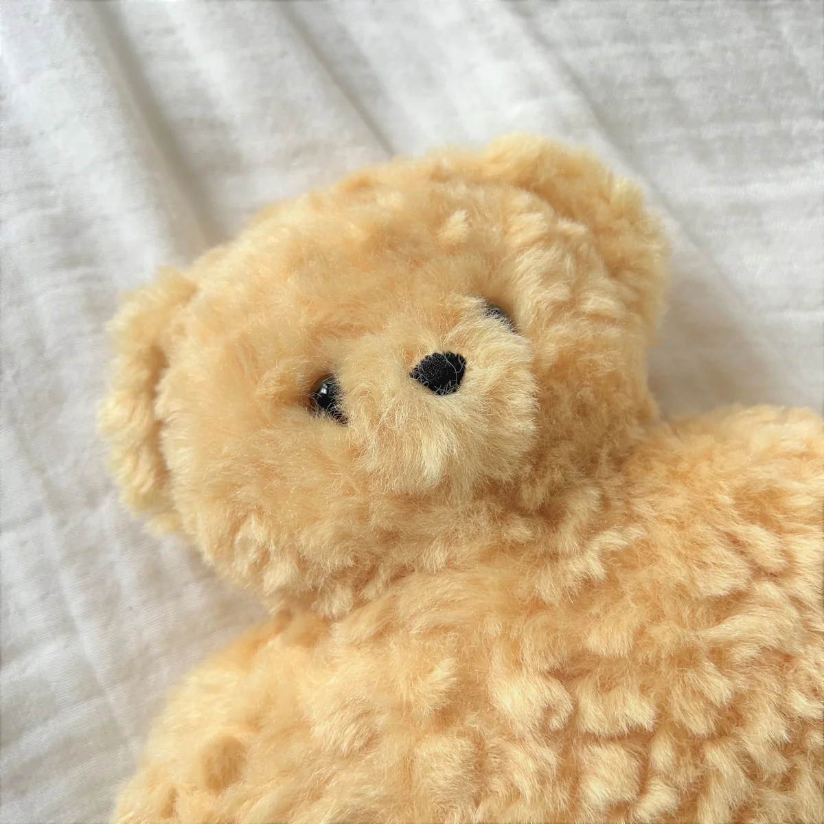 テディウォーマーLと蓋付きマグの温活セット