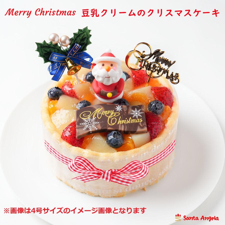 クリスマスケーキ スマッシュケーキ（3号/4号）