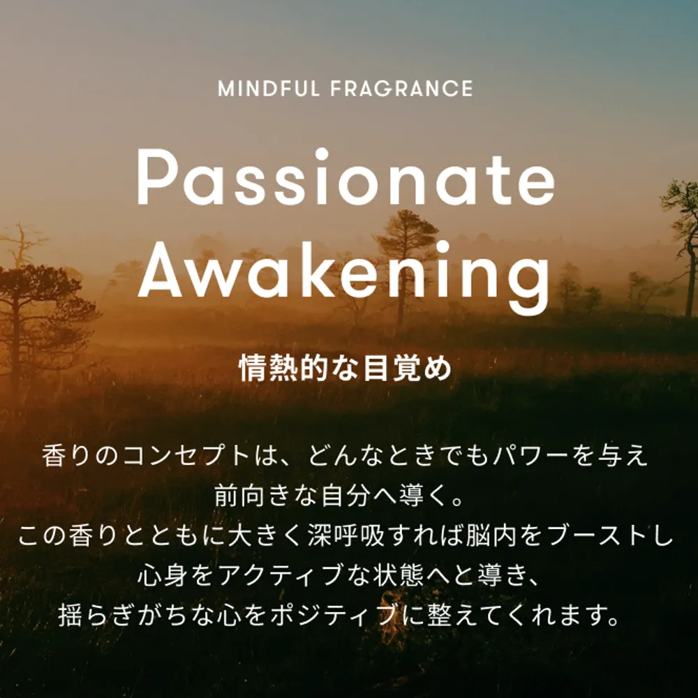 【ベスコス受賞】AGスターフィッシュ　シートマスク