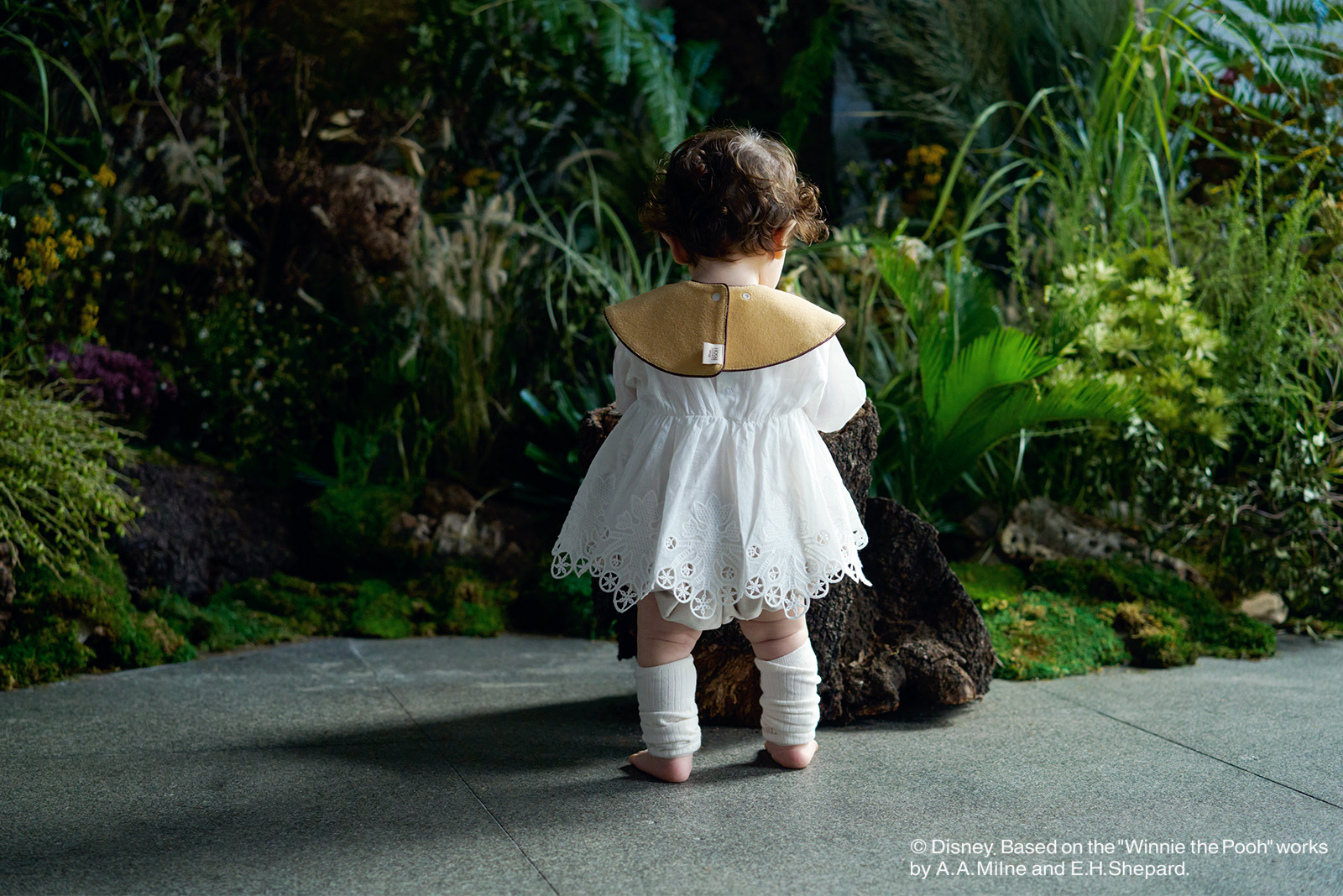 Winnie the pooh / 2 Always together