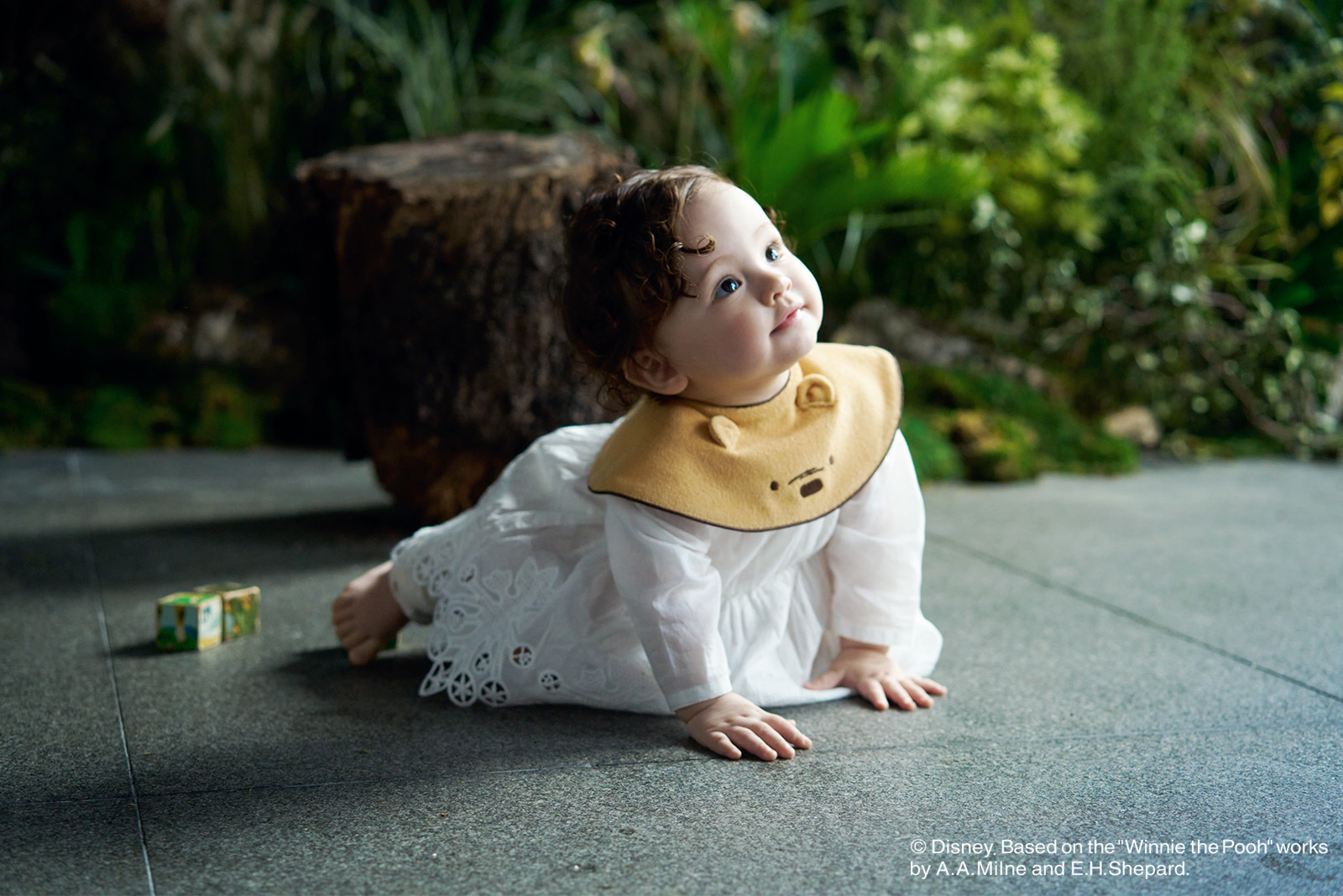 Winnie the pooh / 2 Always together