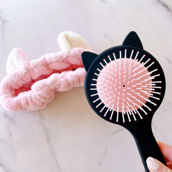 CAT HAIR BRUSH KIT