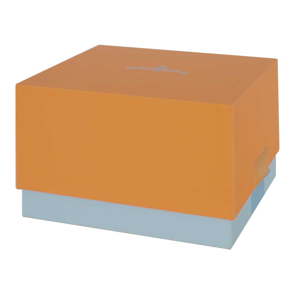 リセット＆エナジー ヘッドブラシ ブルー