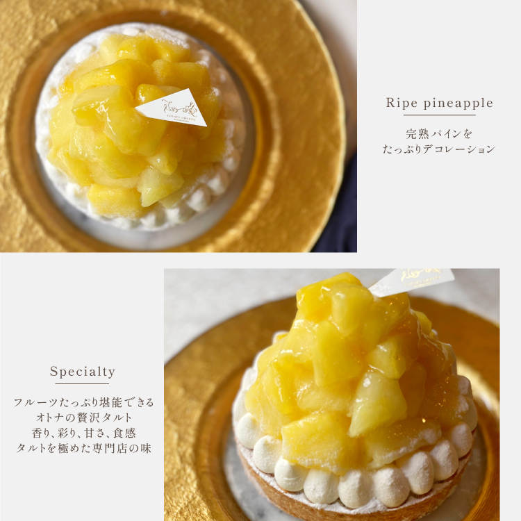 完熟パインチーズタルト14cm(4～6名様用) 誕生日 ギフト 結婚祝 出産祝 無添加 お菓子【お年賀 2026 早割 お取り寄せ 誕生日ケーキ メディア掲載店】