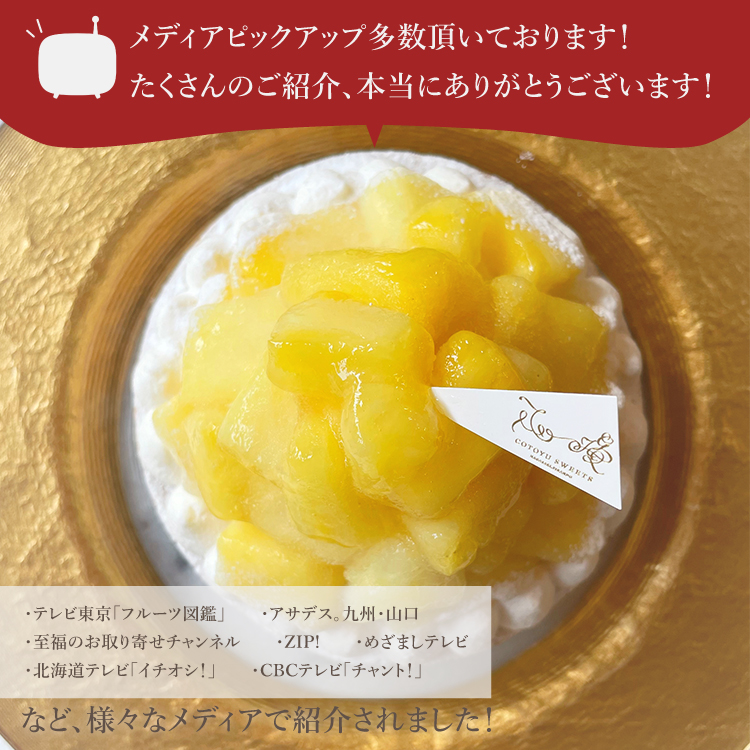 完熟パインチーズタルト14cm(4～6名様用) 誕生日 ギフト 結婚祝 出産祝 無添加 お菓子【お年賀 2026 早割 お取り寄せ 誕生日ケーキ メディア掲載店】