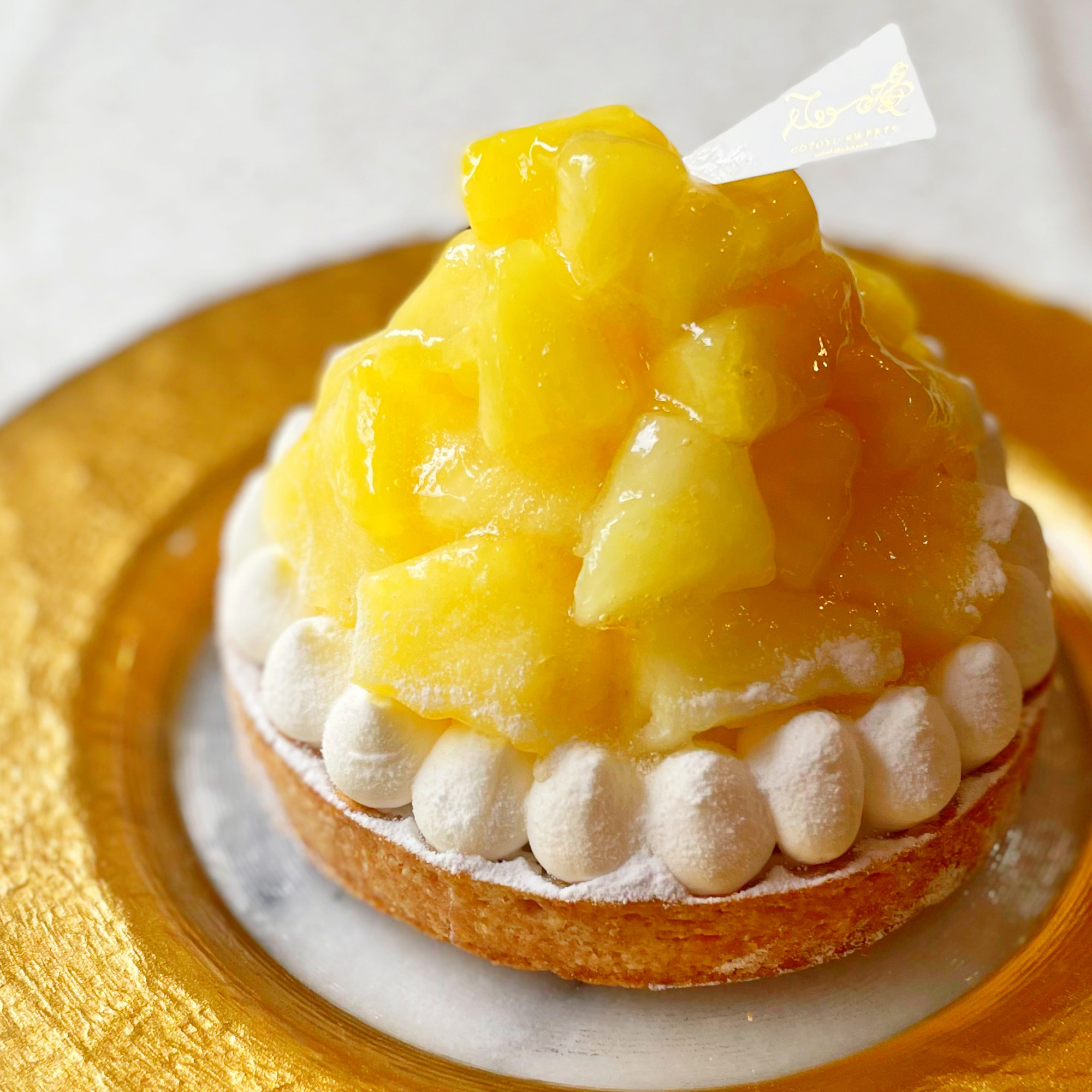 完熟パインチーズタルト14cm(4～6名様用) 誕生日 ギフト 結婚祝 出産祝 無添加 お菓子【お年賀 2026 早割 お取り寄せ 誕生日ケーキ メディア掲載店】