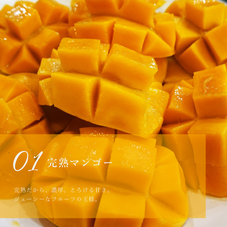 マンゴーチーズタルト18cm(8〜10名様用) 誕生日 ギフト 結婚祝 出産祝 無添加 お菓子 【クリスマス 2025 早割 お取り寄せ 誕生日ケーキ メディア掲載店】