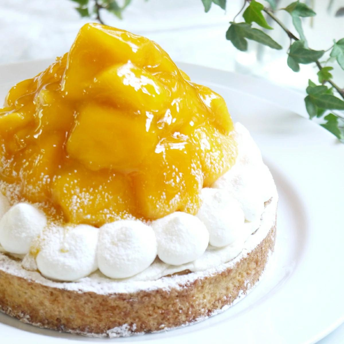 マンゴーチーズタルト18cm(8〜10名様用) 誕生日 ギフト 結婚祝 出産祝 無添加 お菓子 【クリスマス 2025 早割 お取り寄せ 誕生日ケーキ メディア掲載店】