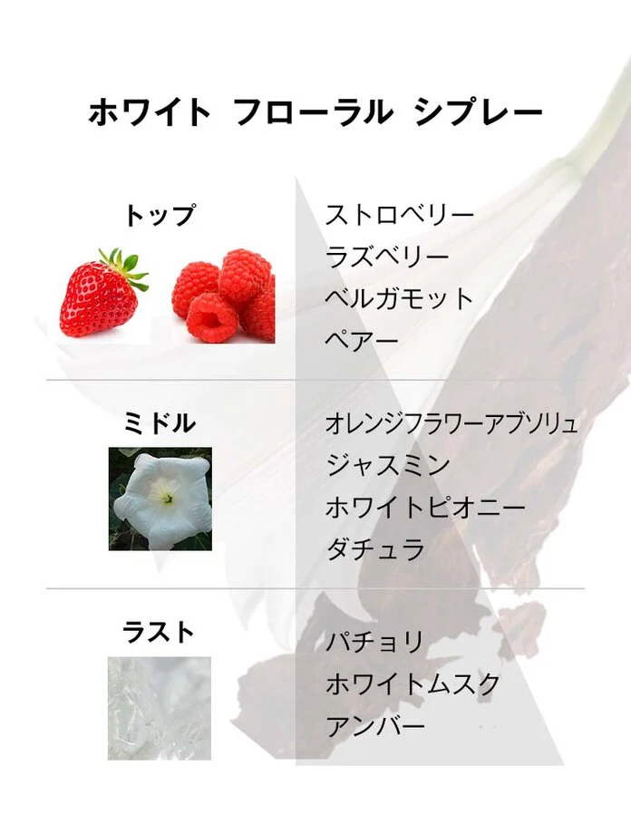 【BOX付】名入れできるテディベア＆イヴ・サンローラン香水ギフト