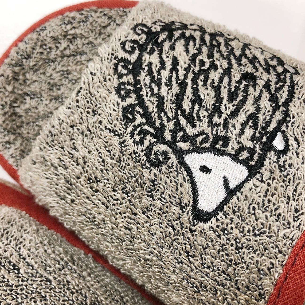 砂浜イギーとピギー