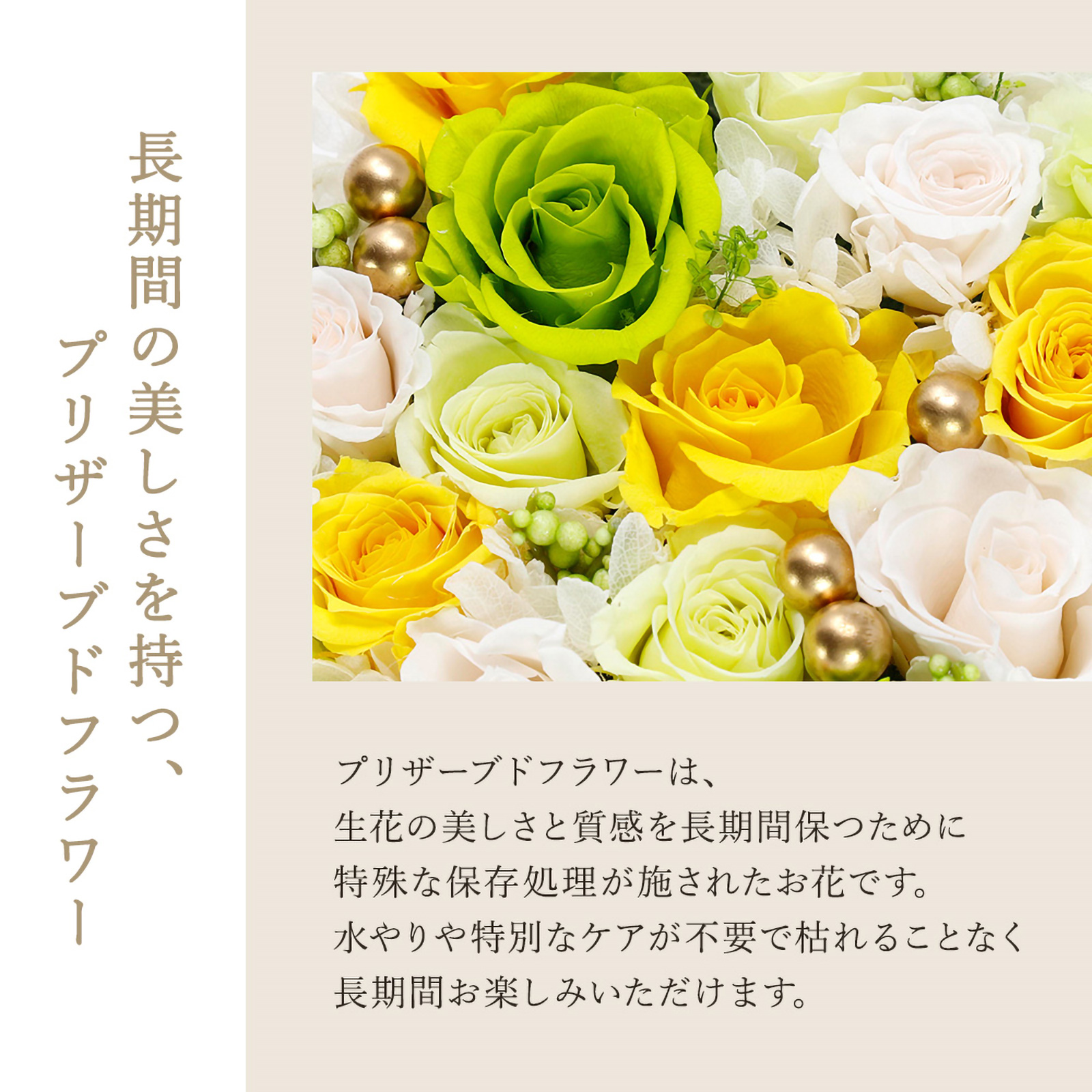 【２面フォトフレーム】バースデーアレンジ＂花だより＂