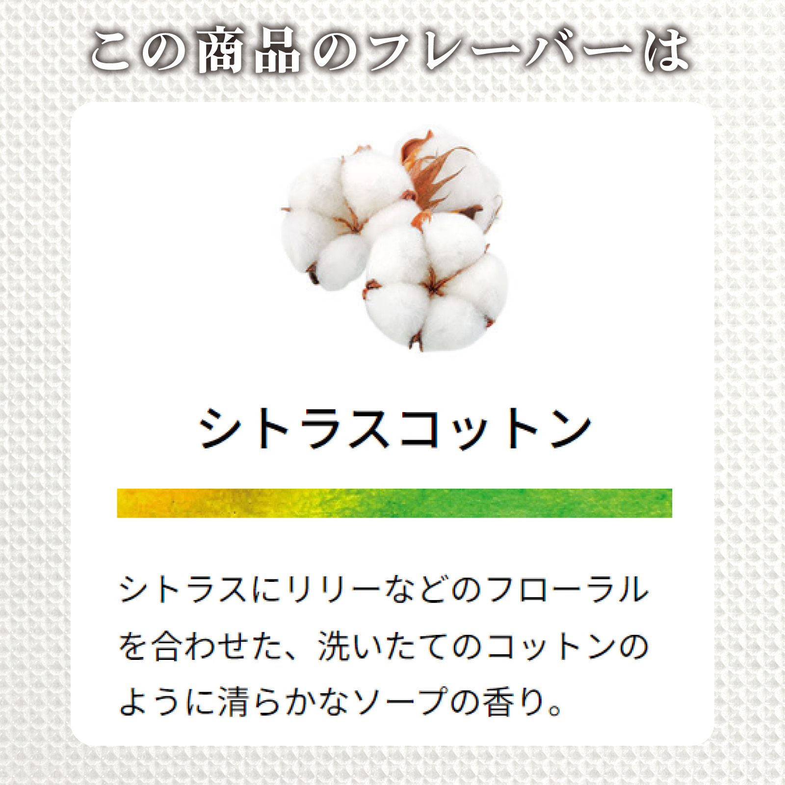 キャンドルホルダー モコ （キャンドル4個付）