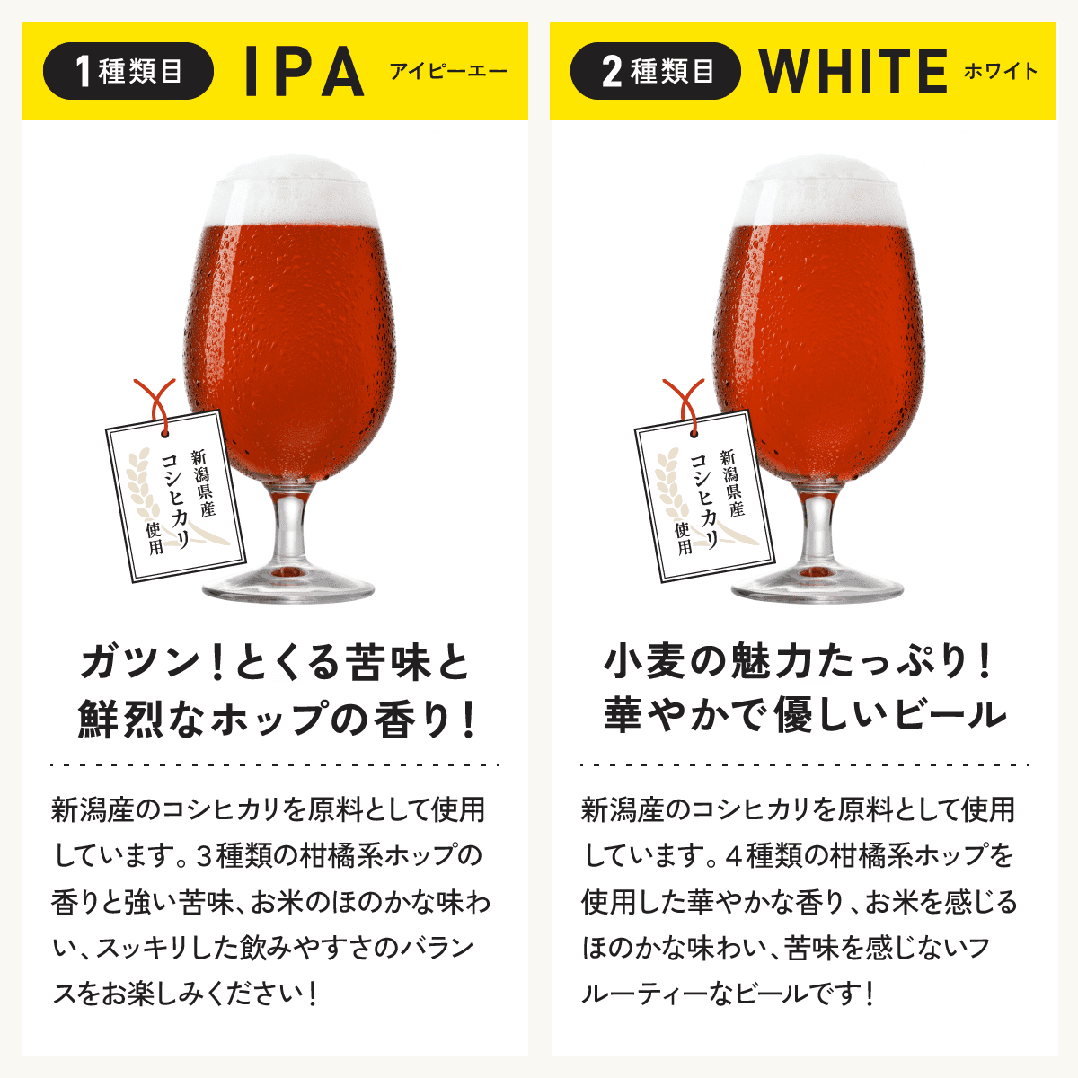 【名入れ】飲み比べ2種6本セット（英文字）≪メイメイビール≫【330ml / IPA3本+WHITE3本】
