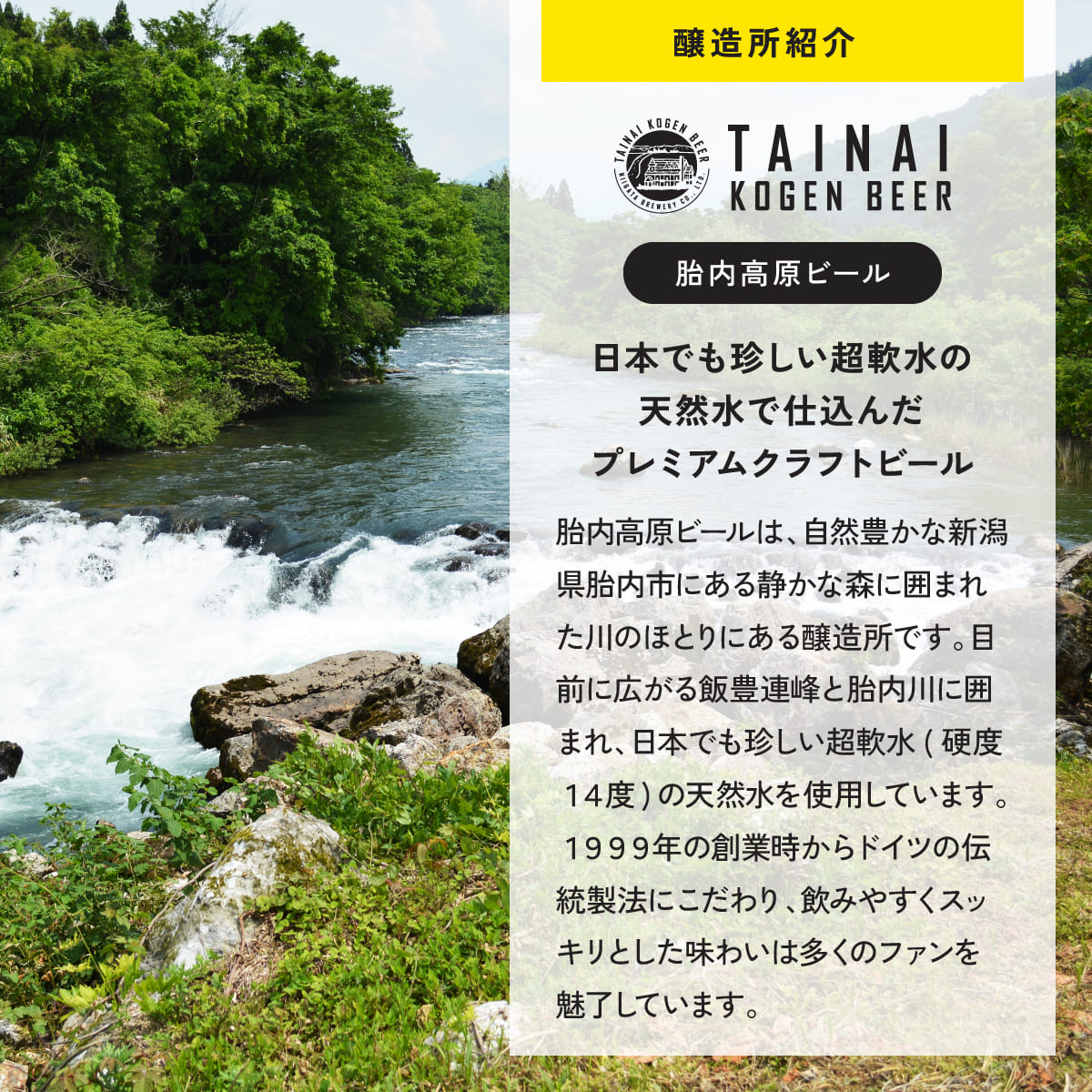 【名入れ】飲み比べ2種6本セット（英文字）≪メイメイビール≫【330ml / IPA3本+WHITE3本】