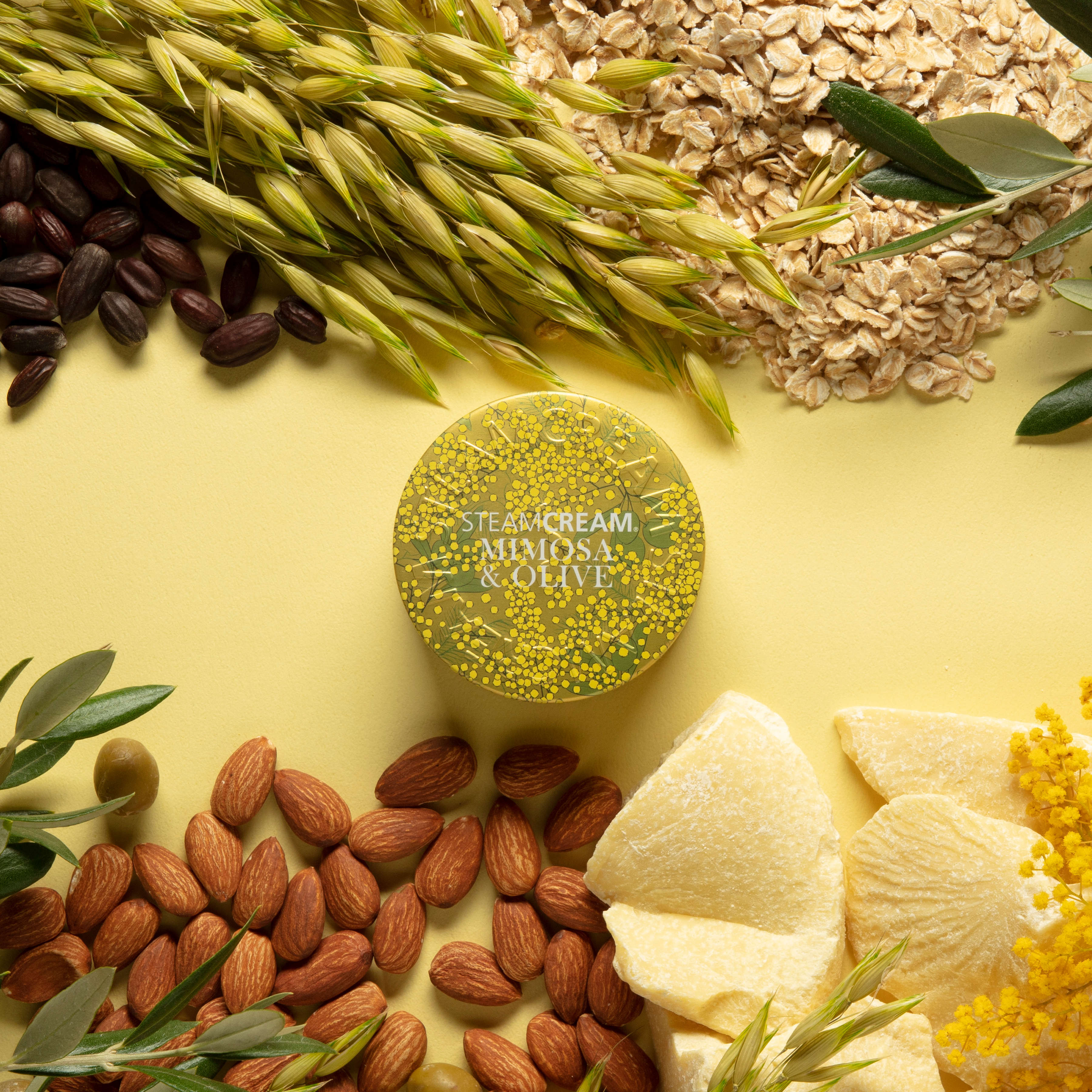 MIMOSA&OLIVE ミモザ＆オリーブ