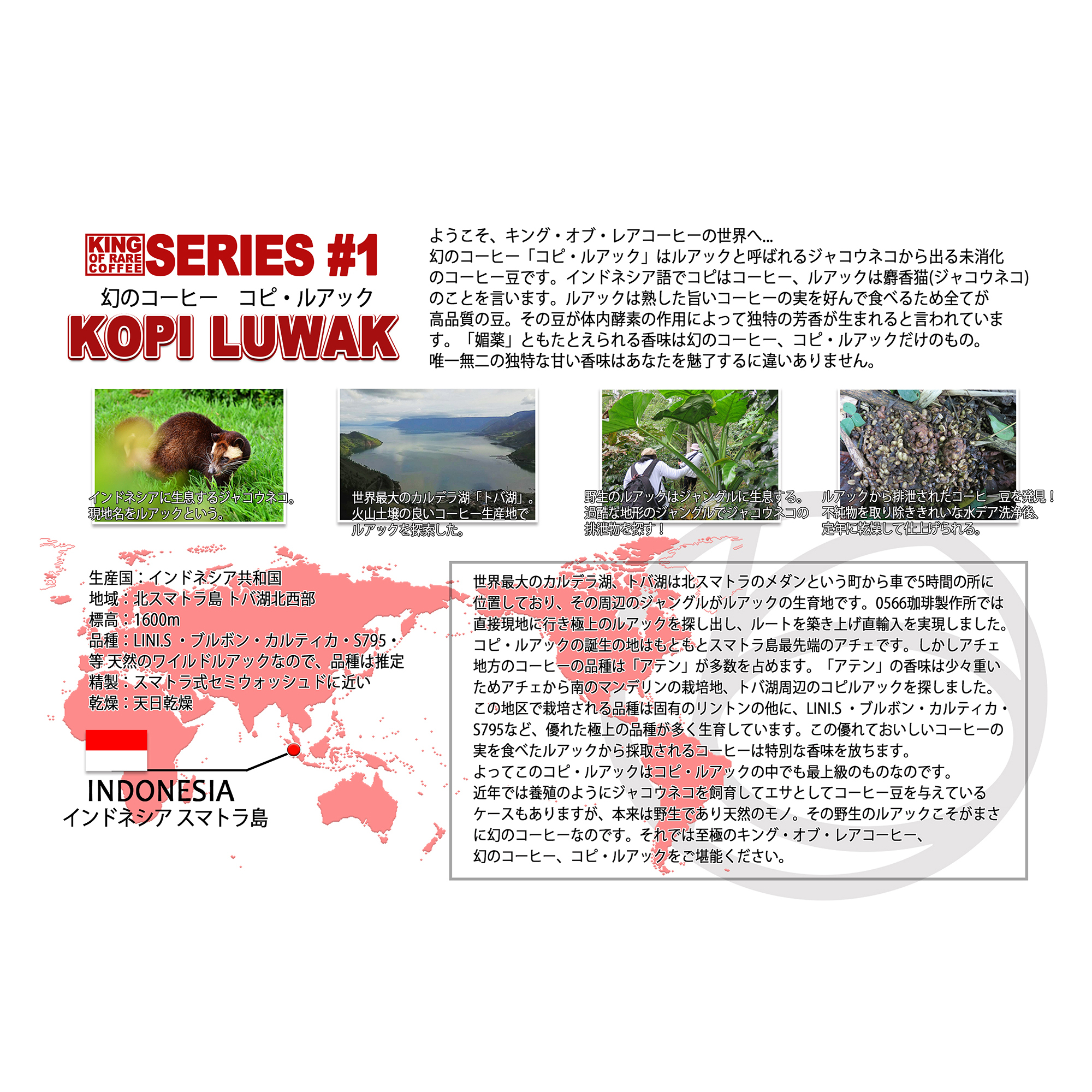 キング・オブ・レアコーヒー《幻のコーヒー コピルアック》