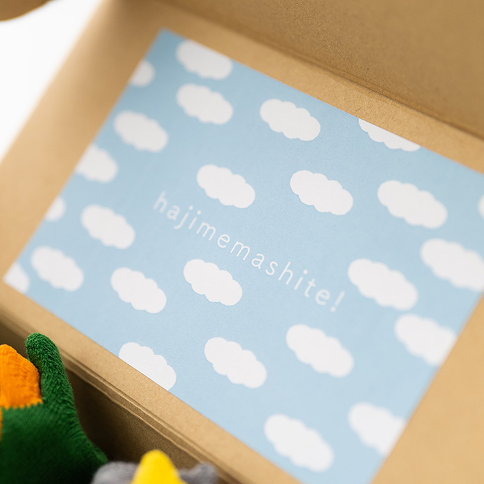 POP UP SOX 恐竜2色セット　