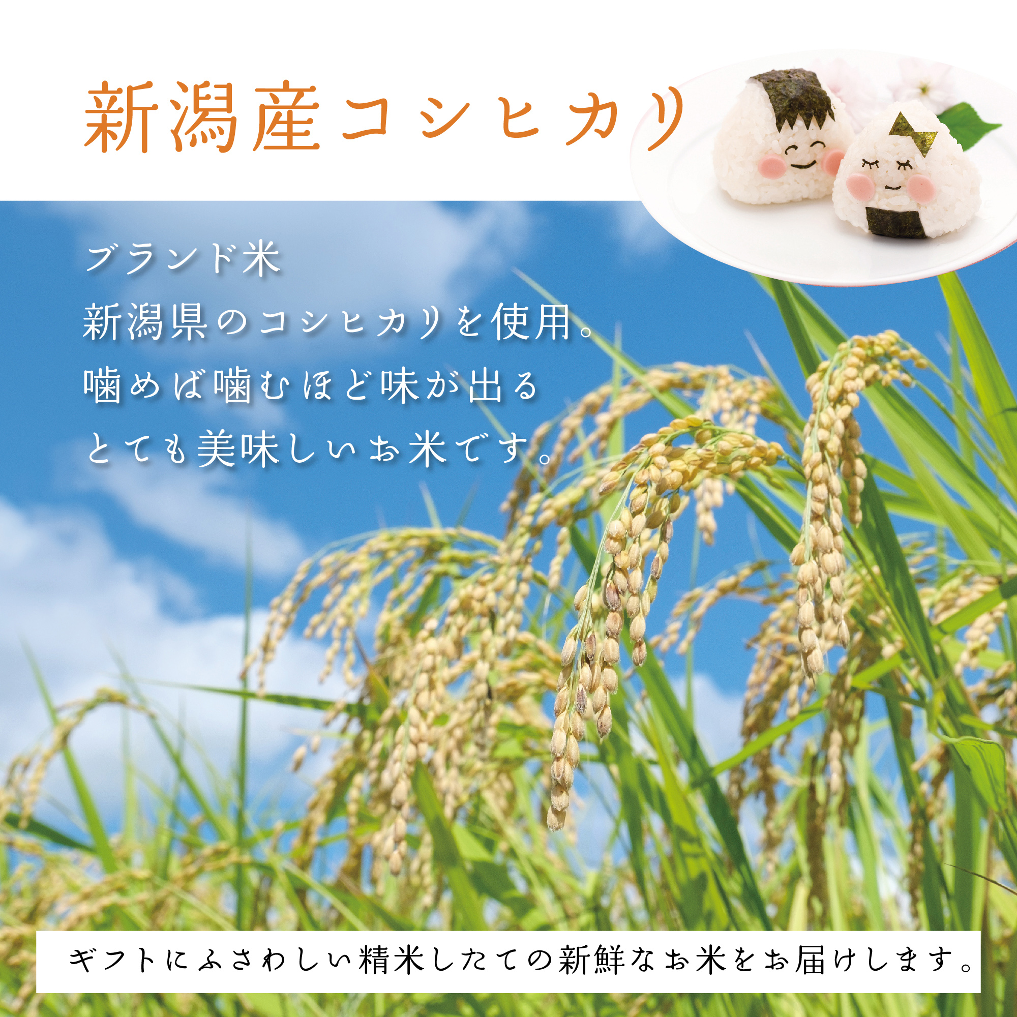 いい夫婦（1122g）コシヒカリ・お茶漬けもなか（3個入り）