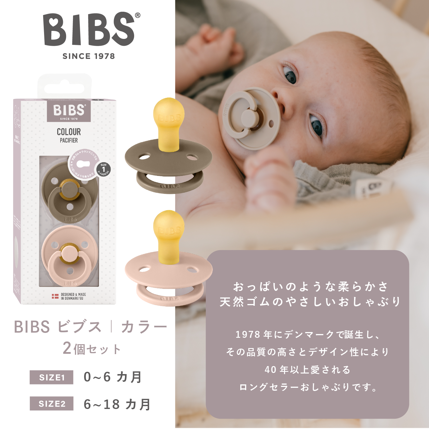 おしゃぶり カラー 2PK(サイズ2)