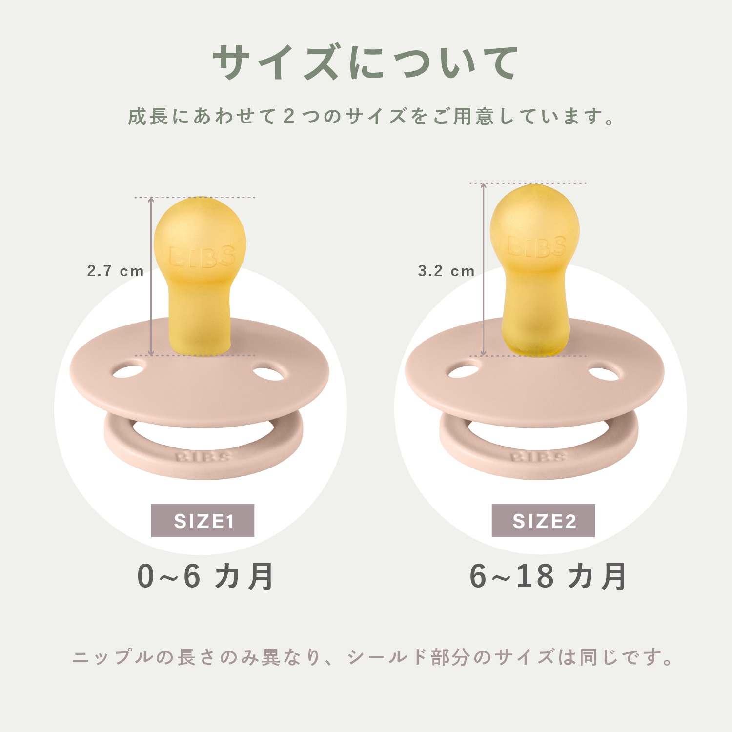 おしゃぶり カラー 2PK(サイズ2)