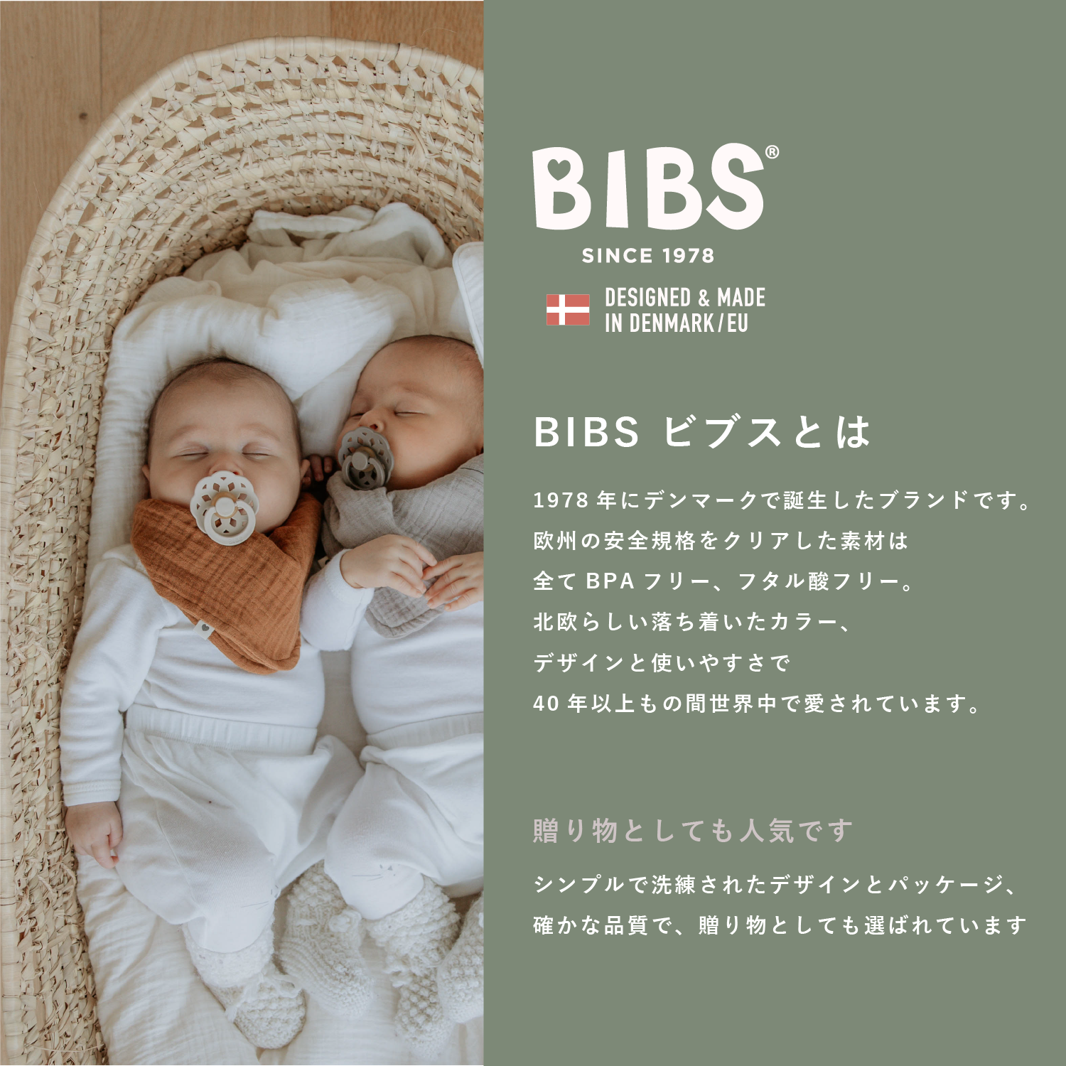 おしゃぶり ボヘミ 2PK(サイズ1)