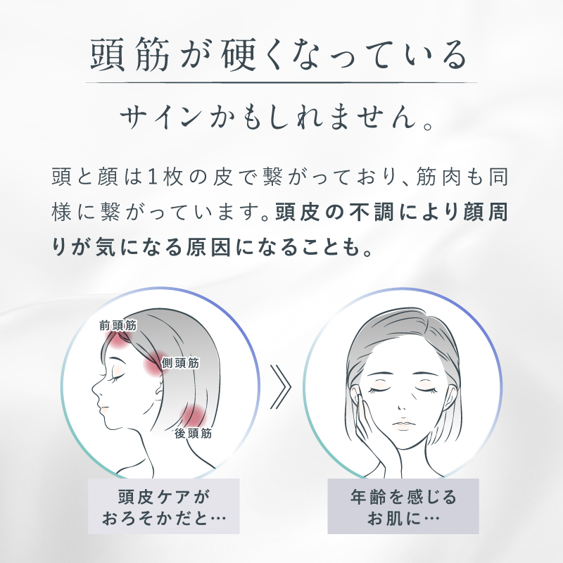 【EMS×光LED×振動】EMSリフトブラシ＜EMS LIFT BRUSH＞