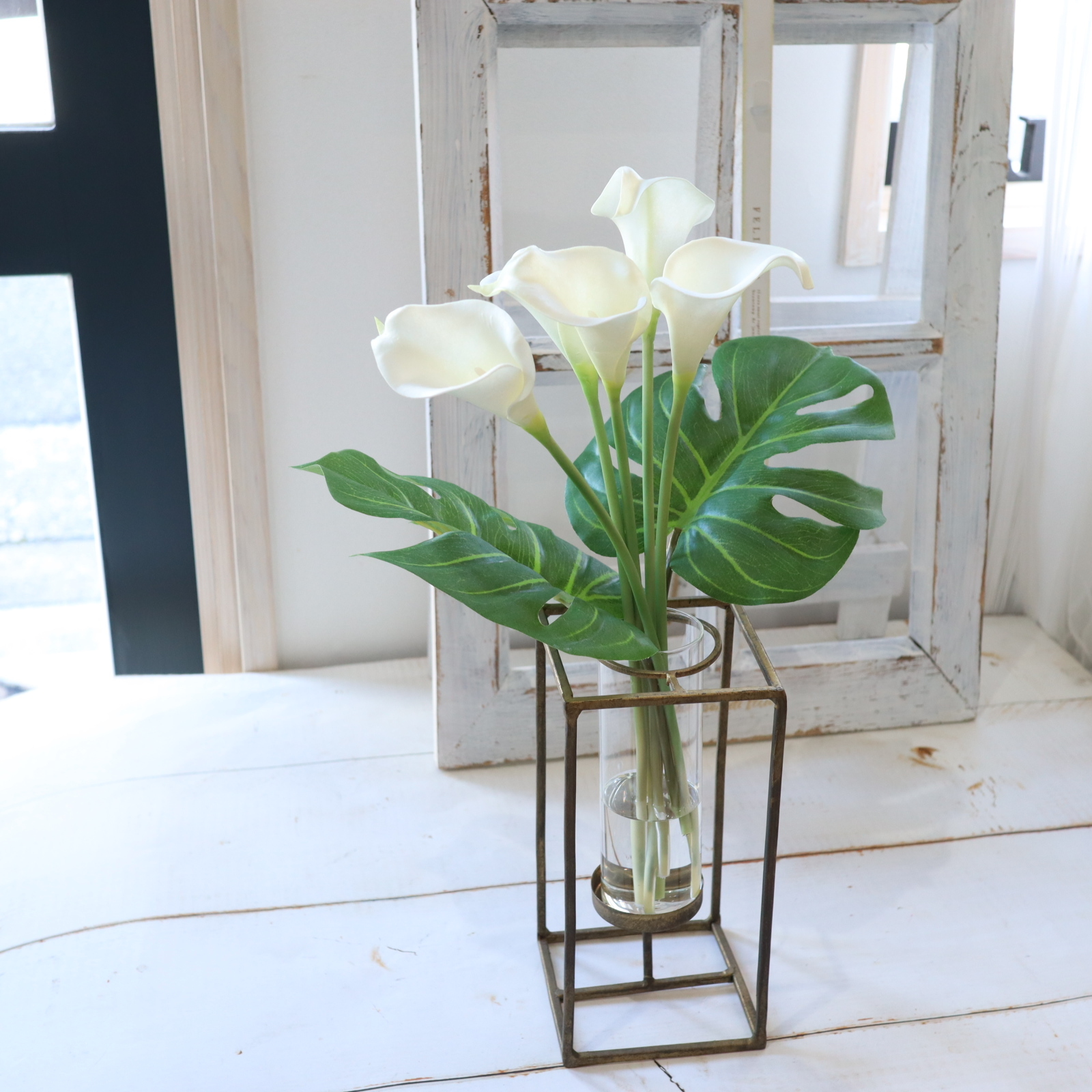 カラー　　モンステラ　マジカルウォーター