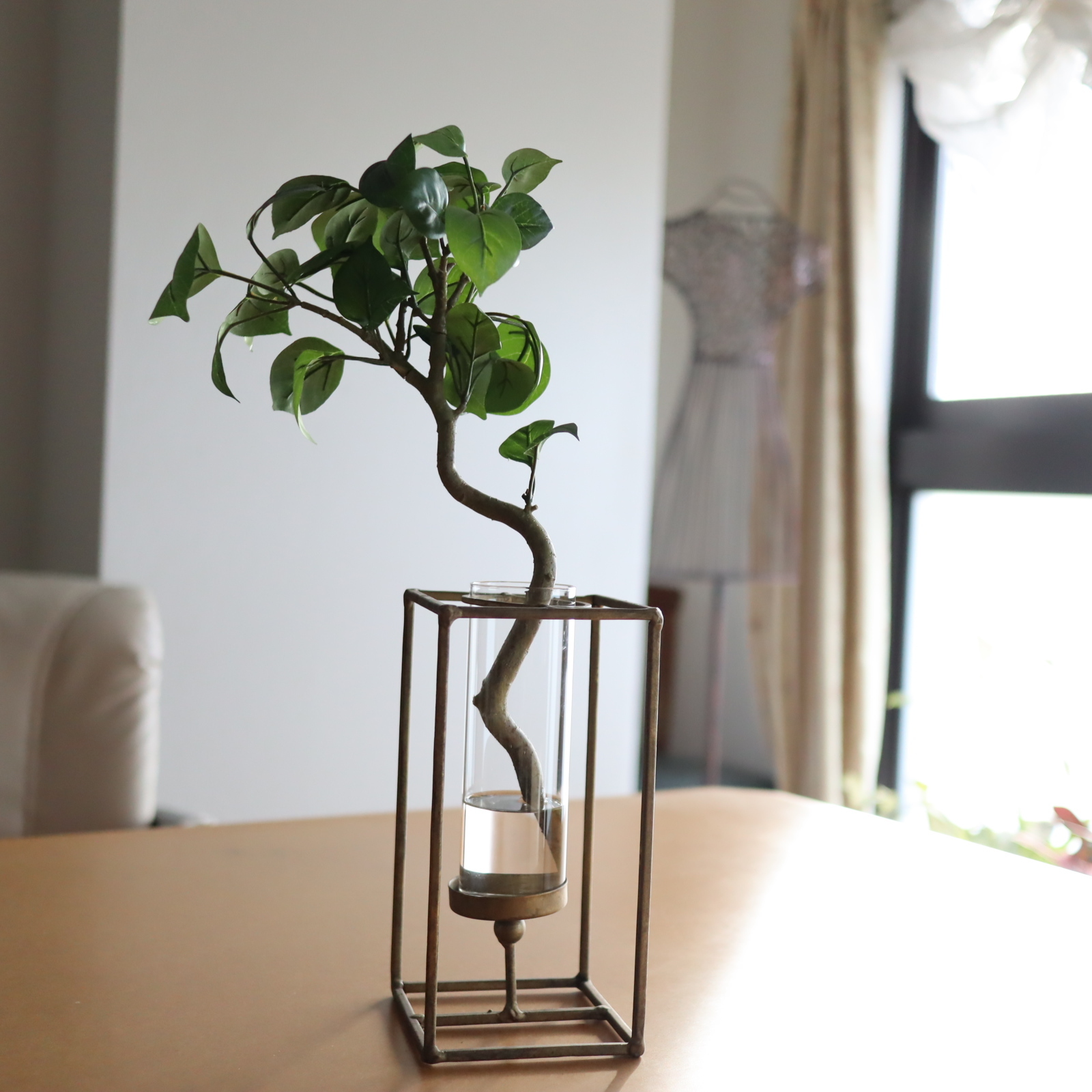 ベンジャミン　マジカルウォーター