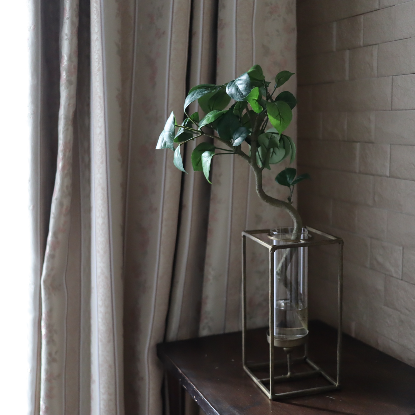 ベンジャミン　マジカルウォーター