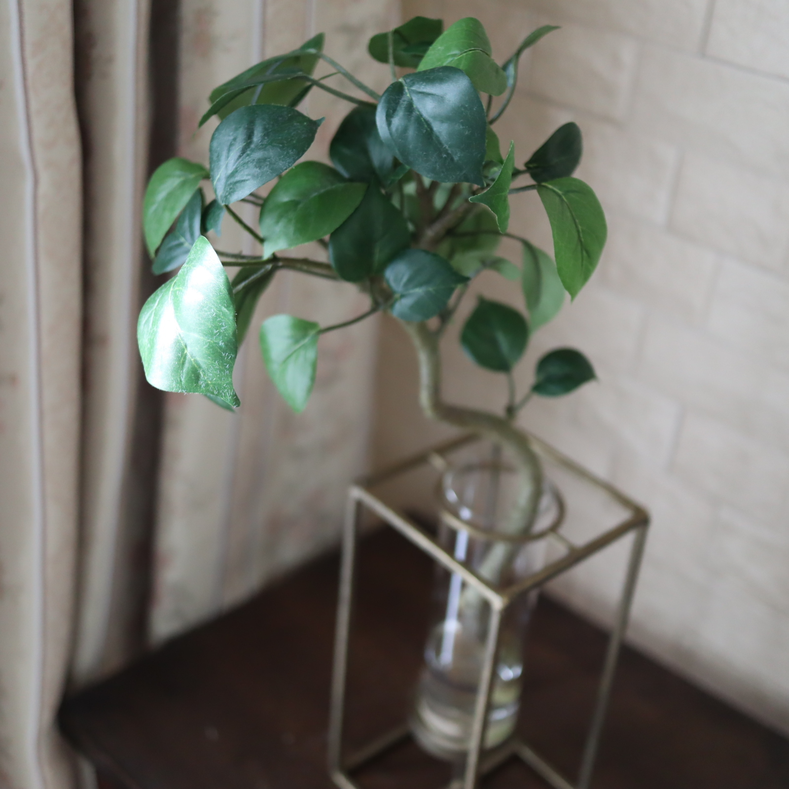 ベンジャミン　マジカルウォーター