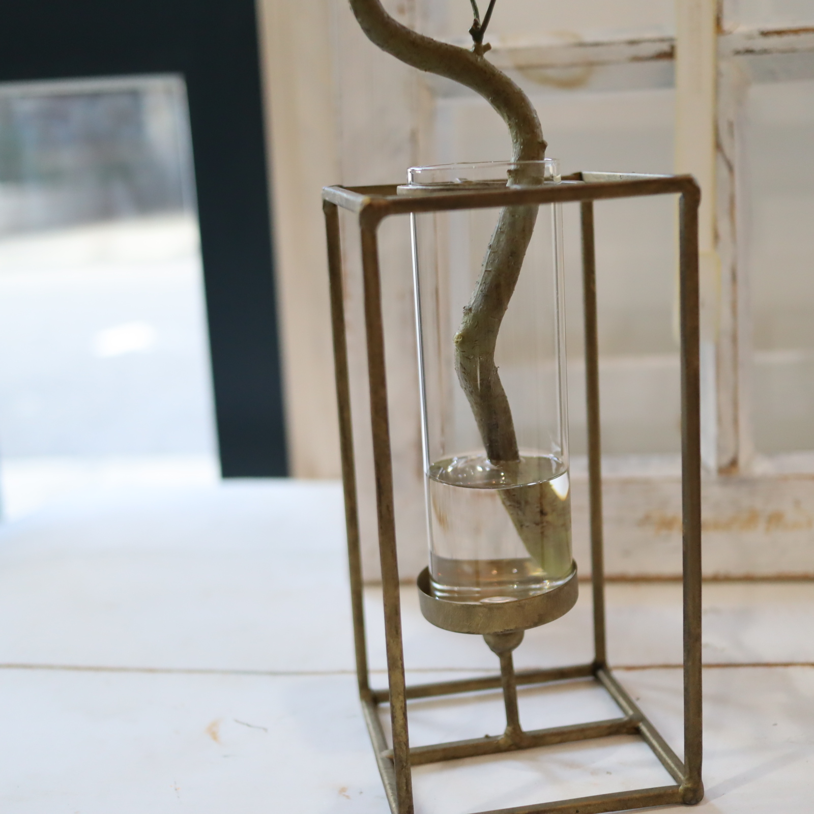 ベンジャミン　マジカルウォーター