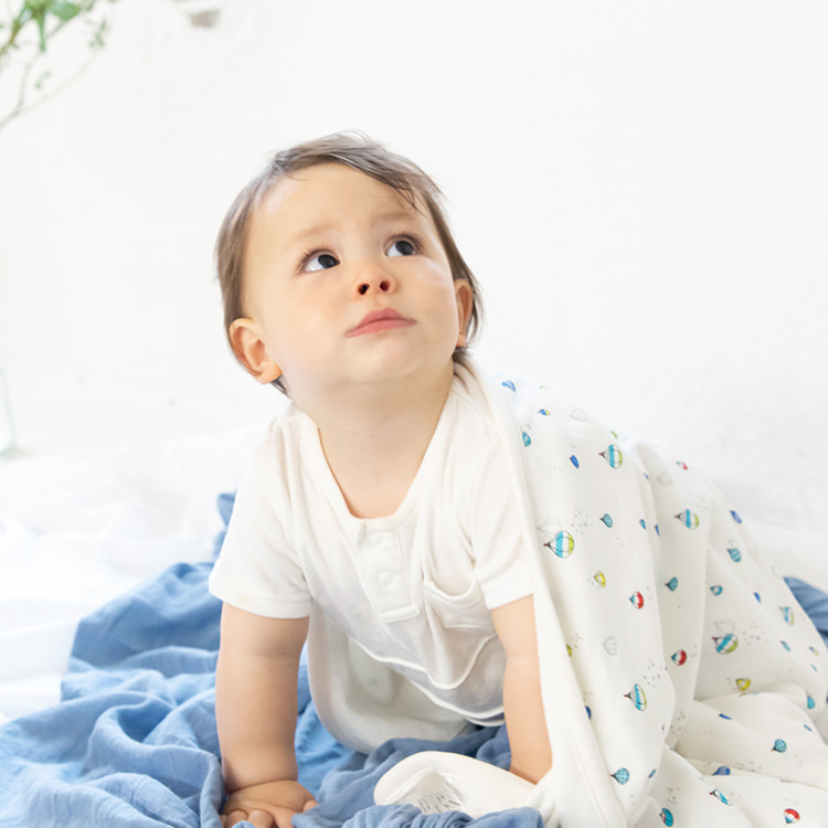 自由飛行｜ブランケット