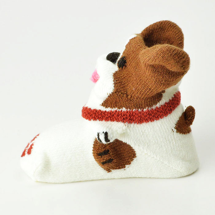 いぬ　POP UP SOX