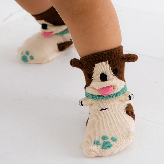 いぬ　POP UP SOX